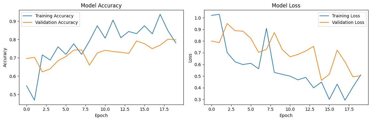 CNN Training Results - Accuracy and Loss Curves
